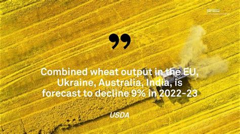 Decline In Wheat Supply To Add To Global Food Security Challenges Youtube