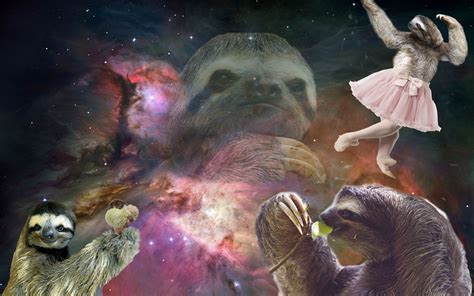 Space Sloth Wallpaper Wallpapersafari