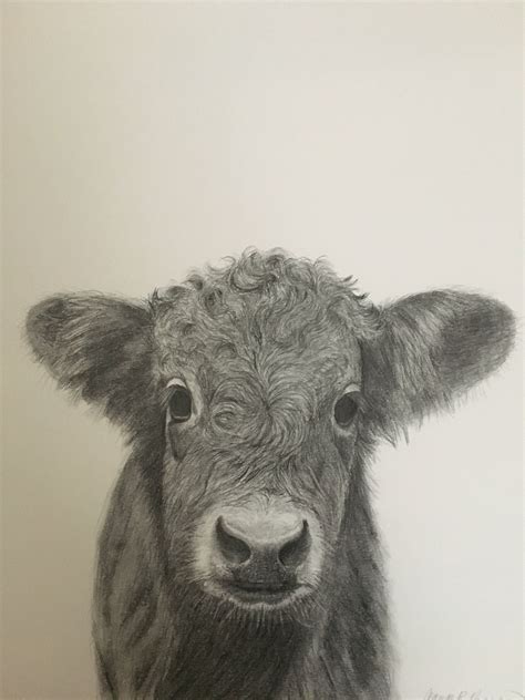 Excited To Share The Latest Addition To My Etsy Shop Cow Cow Sketch