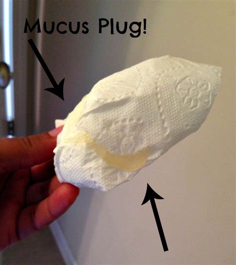 Collection 99 Pictures Photos Of Mucus Plug Full Hd 2k 4k