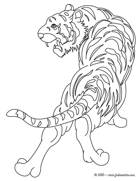 Coloriages tigre à colorier fr hellokids com