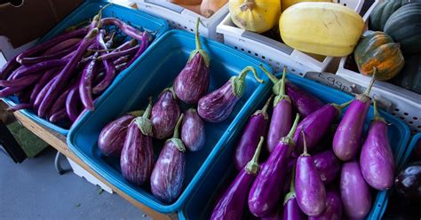 5 Biggest Benefits Of Eggplant