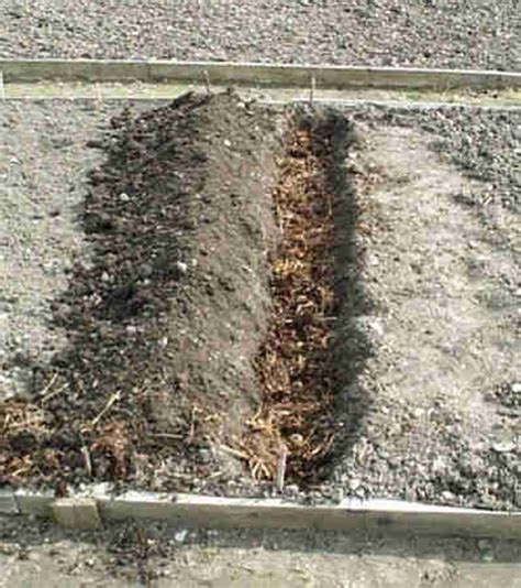 Trench Composting