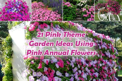 It's an upright plant with pink or white appearance: 21 Pink Theme Garden Ideas Using Pink Annual Flowers ...