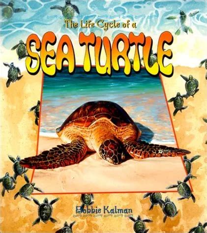 The Life Cycle Of A Sea Turtle By Bobbie Kalman Picclick