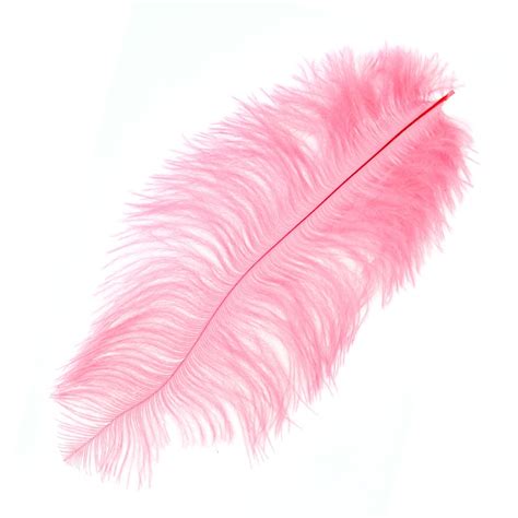 Ostrich Feather 15 20cm Pink X1 Perles And Co