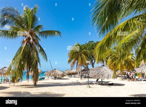 Trinidad Cuba Coco En Una Exótica Playa Con Palmeras Que Entran En El