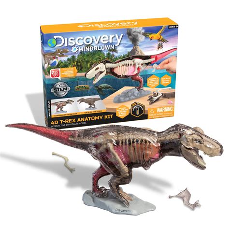 Discovery™ Mindblown 4d T Rex Anatomy Kit Interactive Dinosaur Model With Dual Sided Model 28
