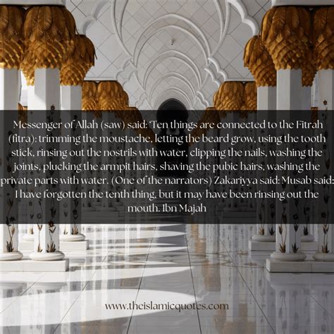 Hazrat Ayesha Quotes That We Can All Learn A Lot From