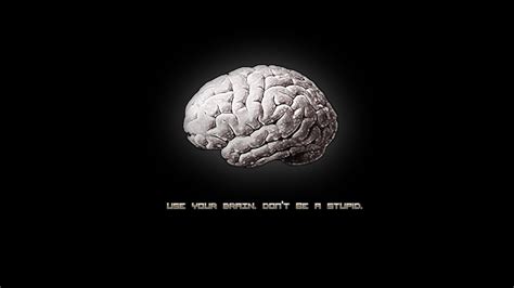 Use Your Brain Wallpapers And Images Wallpapers Pictures Photos