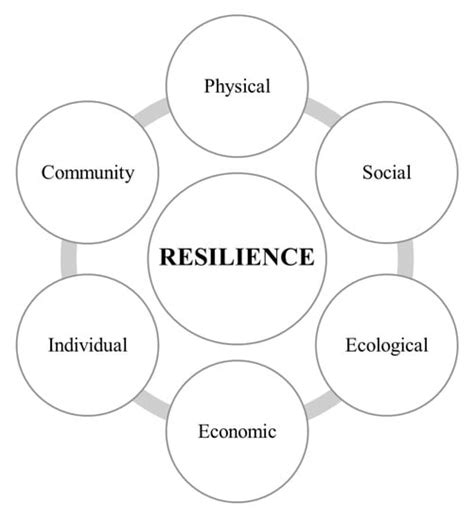 modelling measuring visualising community resilience encyclopedia