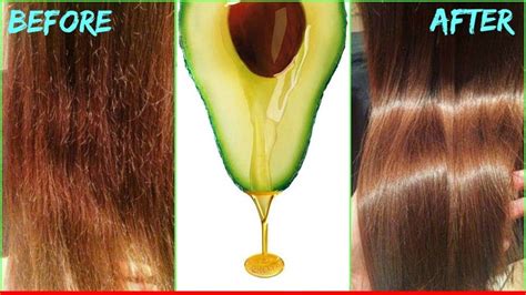 Different Avocado Oil Benefits For Natural Hair 365 Gorgeous