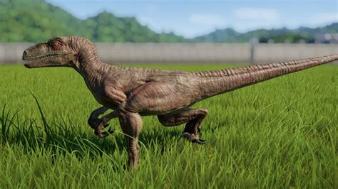 Velociraptor Jurassic World Evolution Wiki Fandom Velociraptor Jurassic Park World