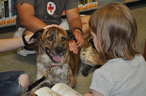 Reading To Animals At A Shelter Helps Kids And Critters Alike