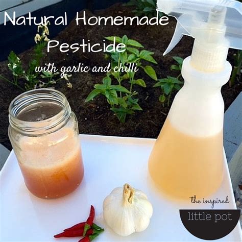 This Natural Homemade Pesticide Recipe Means You Can Grow Your Own
