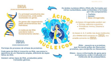 Ácidos Nucleicos Dna E Rna Dna E Rna Base Nitrogenada Dna