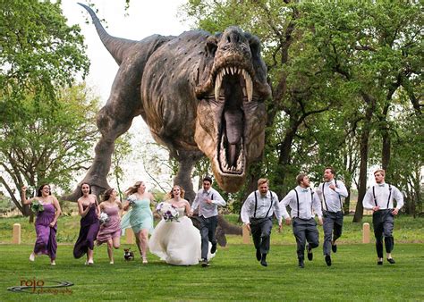 Our theme was jurassic jamboree. Dinosaur picture. (With images) | Wedding photos, Wedding party photos, Dinosaur pictures