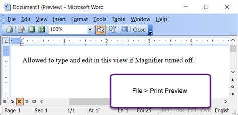 Print Preview In Microsoft Word