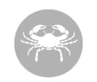 2021 annual moon sign predictions for cancer (karka rasi) born (punarvasu 4th quarter, pushyami, aslesha nakshatras) in vedic astrology. Jupiter Transit 2021-2022 Predictions for Cancer Moon Sign ...