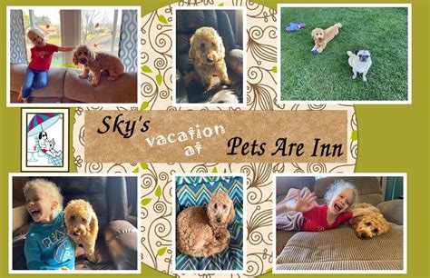 Pin by Pets Are Inn Bucks County on Our Pet Family - Pets Are Inn Pets | Pets, Bucks county 