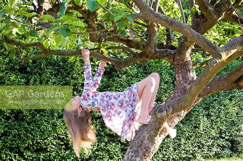 Young Girl Climbing Stock Photo By Juliette Wade Image 0258406