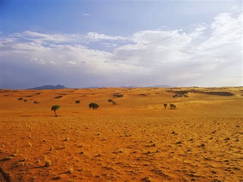 46 Desert Landscape Wallpaper On Wallpapersafari