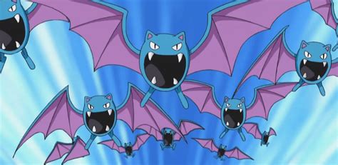 12 Facts About Zubat