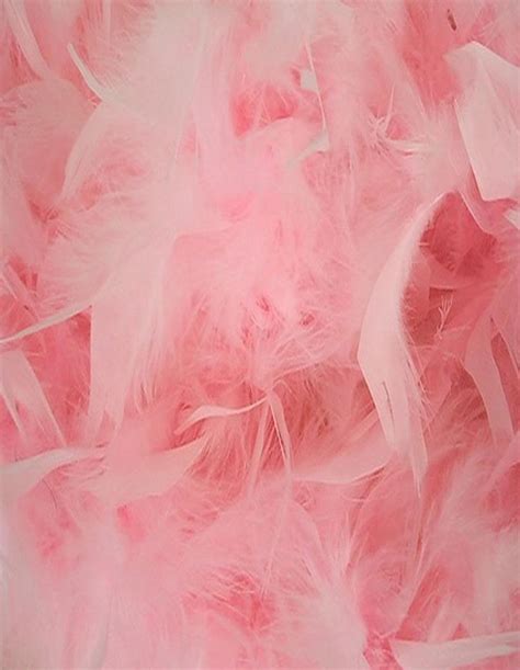 Pin By Patsy Morgan On Fabulous Feathers Pastel Pink Aesthetic Pink