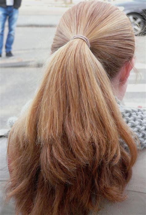 Pin By Hair Lover On Ponytails Long Hair Ponytail Sexy Long Hair