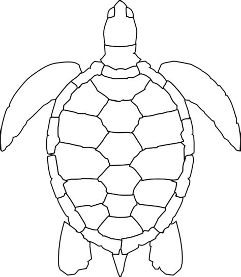 Turtle Outline Clip Art At Vector Clip Art Online Royalty