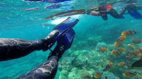 Amazing Snorkeling In Bali Nusa Penida Manta Ray Youtube