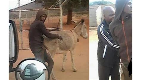 Man Caught Having Sex With A Donkey In Broad Day Light