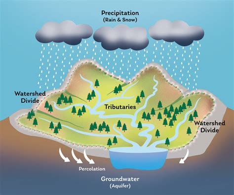 What Is A Watershed Hudson River Watershed Alliance