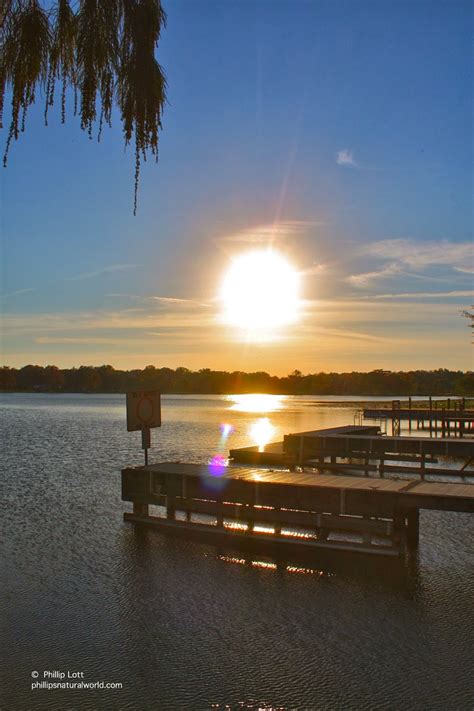 Florida Lakes Phillips Natural World