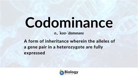 Codominance - Definition and Examples - Biology Online Dictionary
