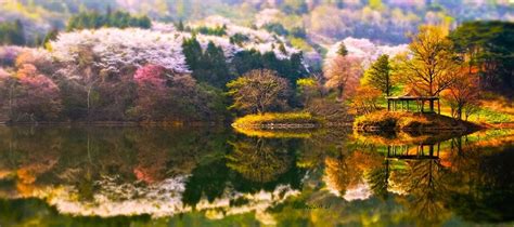 The Beautiful Landscapes Of South Korea Are Captured In These Stunning Photographs Elite Readers