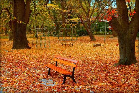 3440x1440px Free Download Hd Wallpaper Autumn Bench Park Fall