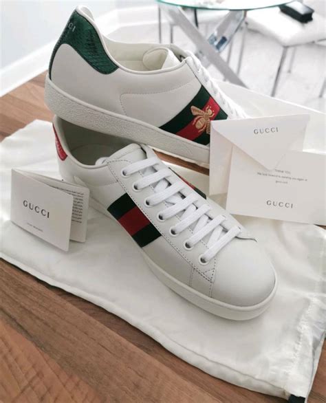 Gucci Ace Bee Trainers 100 Authentic In Longbridge West Midlands