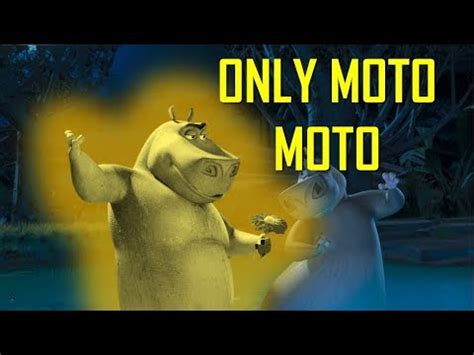 Madagascar 2 But Only When Moto Moto Is On Screen Moto Moto Know