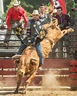RODEO 101 - The RAM Rodeo Tour