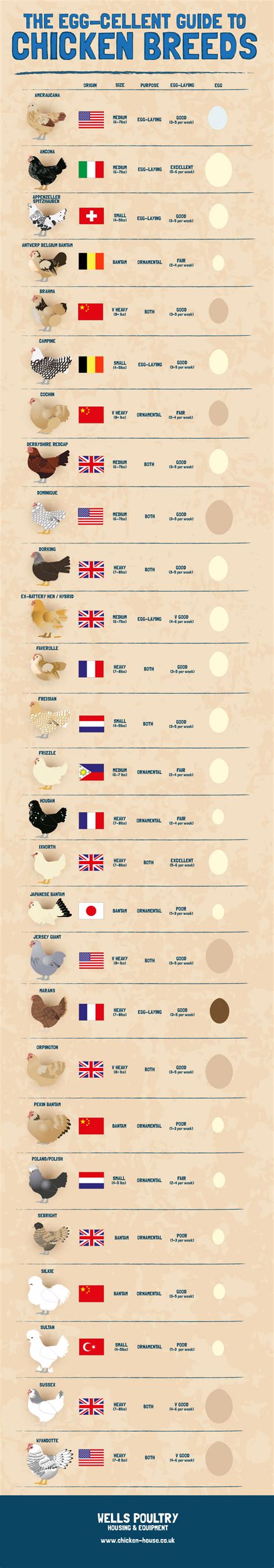 The Egg Cellent Guide To Chicken Breeds Visually