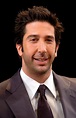 David Schwimmer photo 1 of 23 pics, wallpaper - photo #88347 - ThePlace2