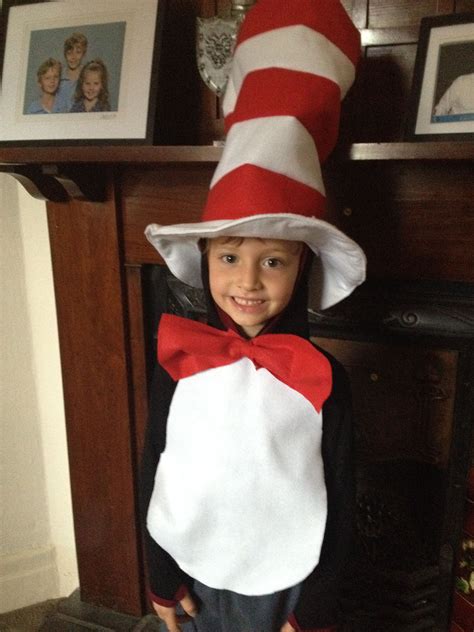 The Cat In The Hat Made For The Schools Book Week Costume Day Book