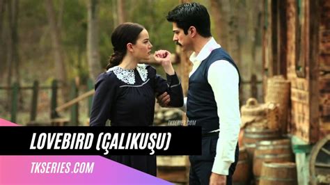 Lovebird Çalıkuşu Turkish Series In English