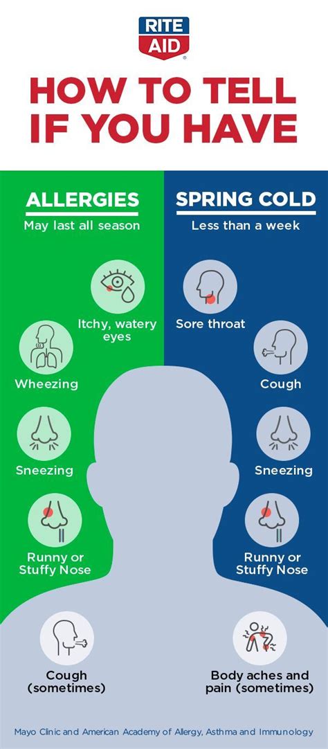What Is The Difference Between A Head Cold And A Sinus Infection