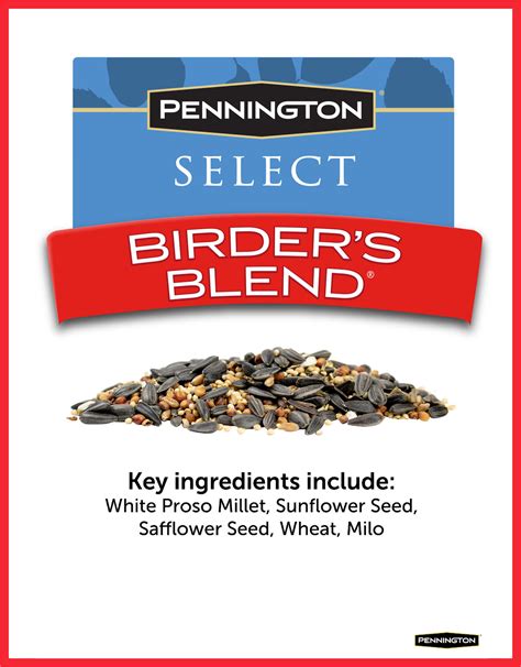 Pennington Select Birders Blend Wild Bird Seed And Feed 40 Lb Bag