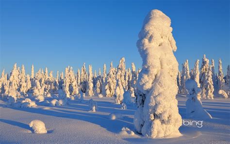 Free Download Bing Wallpaper And Screensaver Pack Winter 800x500 For