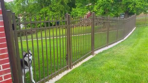 No Dig Dog Fence ~ The Fence For Dogs That Dig Outdoor Living Expert