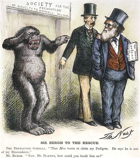Darwin Cartoon Hoslac