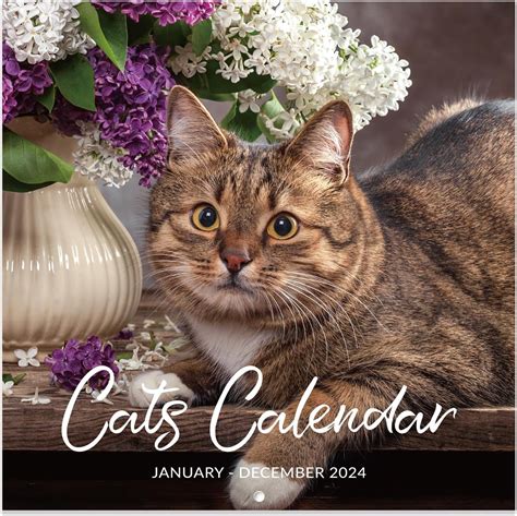 Willow Creek Press Bad Kitties Monthly 2024 Wall Calendar